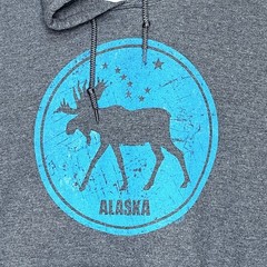 Mens Alaska Graphic State Hoodie Medium