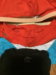 Reseller Lacoste lot polos sweaters hoodie shorts 17 items