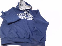 City Location Pullover Hoodie Santa Cruz EST. 1866 GREY, NAVY, PINK S,M,L,XL, 2X