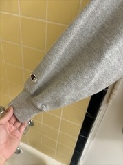 THE FRIENDS SCHOOL WILMINGTON CHAMPION REVRESE WEAVE HOODIE GRAY XL