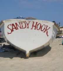 🌞Sandy Hook, N.J. Heavyweight Cotton Crewneck Sweatshirt *Fate Rate Ship $4.00