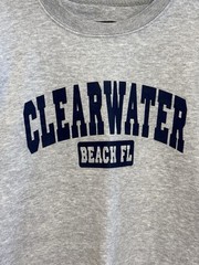 Shark Tee The Perfect Sweatshirt Adult LG Gray Clearwater Beach Florida Spring