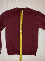 RARE Champion Harvard Big “H” Felt Letter Sweatshirt SMALL Long Sleeve Crew Neck