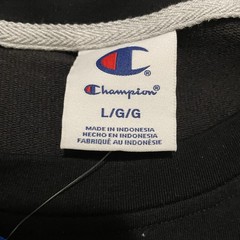 Champion Men’s Crewneck Sweatshirt NWT Size Large Black Chest And Arm Logo