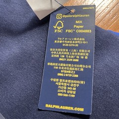 Polo Ralph Lauren Hoodie Sweatshirt Men’s Medium Big Pony Color Block NWT