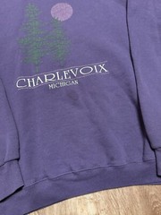 Vintage 90s Northern Michigan Crewneck Sweatshirt Nature Logo Purple Plum XL USA