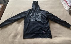 Men’s Nike Air Jordan Dominate Graphic 23 Elephant Hoodie. Size Large.