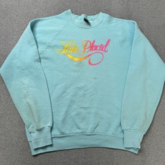 Vintage Screen Stars Best Sweatshirt Mens Large Large Blue Fleece Lake Placid