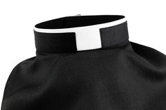 mds Roman Collar (Dicky) Mini Shirt Front. (All Fabric) #mfr1