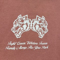 Darc Sport Wolves Hoodie Men Small Pink Fight for Cancer NFGU Gym Fitness Limit