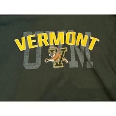 Gildan UVM Vermont Catamounts Hoodie Mens Large Green Collegiate Sweatshirt