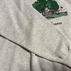 Vtg 90’s COMMUNITY OF FLAGS Brooklyn IA Collared Crewneck Sweatshirt Adult XL