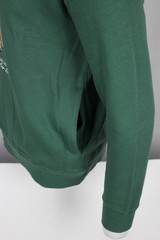 Polo Ralph Lauren Men’s Polo Bear Fleece Hoodie Green Collegiate Bear