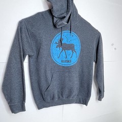 Mens Alaska Graphic State Hoodie Medium
