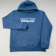 Patagonia P-6 Hoody Big Logo Uprisal Blue Hood Sweatshirt Sustainable Eco Small