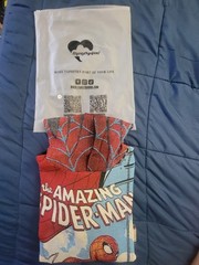 The Amazing Spider-Man.Beautiful Pullover Hoodie Size Large Orig by Tapestry.New