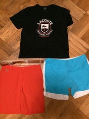 Reseller Lacoste lot polos sweaters hoodie shorts 17 items