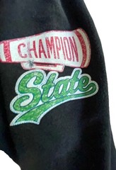 Champion Reverse Weave Hoodie Men’s S Varsity Letter C Patch Vintage Sweatshirt