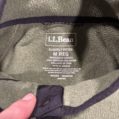 llbean Men’s All Season Access Fleece Pullover M Green New