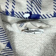 Champion Reverse Weave Hoodie Mens M Light Pink Blue Plaid Fleece Pullover Logo