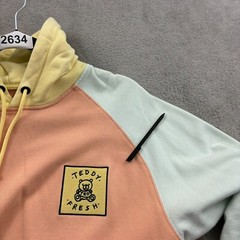 Teddy Fresh Hoodie Sweatshirt Mens M Multicolor Colorful Colorblock Logo 90s