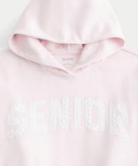 Hollister, XXS, SENIOR, Graphic, Oversized Hoodie