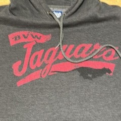 BVW Jaguars Hoodie Mens Gray Large Activewear High School Team Casual