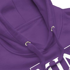 Minnesota Est. 1961 Football Vikings Unisex Hoodie S,M,L,XL,2X,3X