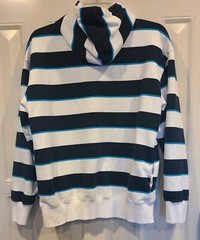 Puma Hooded Sweatshirt Jacket Shirt Cloud 9 Size Small