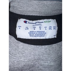 Lot 2 Men’s Large Crewneck Sweatshirts Champion Tek Gear Fleece Gray Blue Gym