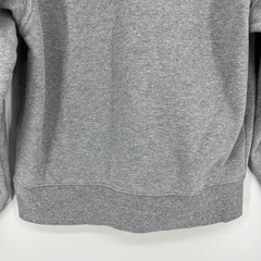 JanSport Bowling Green Falcons Hoodie Adult XS Gray NCAA Collegiate Sweatshirt