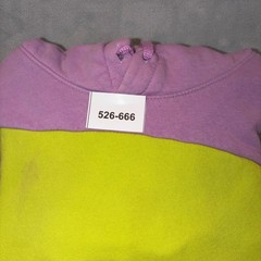 Nike Sportswear Colorblock Hoodie Clash Green Purple Mens Large Pullover Fleece
