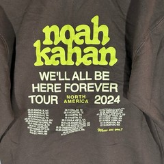 Noah Kahan 2024 Tour We’ll All Be Here Forever Stick Season Brown Hoodie Size M