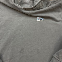 Patagonia Daily Hoody Hoodie XS Extra Small Blue Hiker Trekker Spellout Prep Men