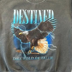 Destined Take Hold of Faith Pacsun Men’s Sweatshirt – NWT