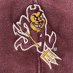 Arizona State Hoodie Teens L Red Sun Devil Logo Champion Pullover Sweatshirt