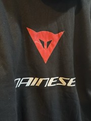 Sweatshirt Hoodie With Dainese Logo No Tags. LRG /XL? Microfiber?Unbranded Item.