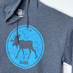 Mens Alaska Graphic State Hoodie Medium