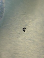 Criquet Collared Sweatshirt Men’s Large Heather Ice Blue Cotton Stretch Fleece