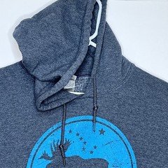 Mens Alaska Graphic State Hoodie Medium