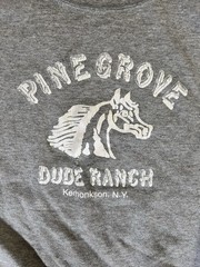 NY Pine Grove Dude Ranch Horse Souvenir Vtg 90s Sweatshirt Men XL Delta Pro Tag