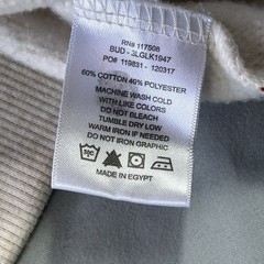 Levis Hoodie Mens Small Gray Pullover Sweatshirt Distressed Logo Graphic Egypt