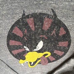 Royal Apparel Gray Graphic Pullover Hoodie Hooded Men’s XL & matching Legacy hat