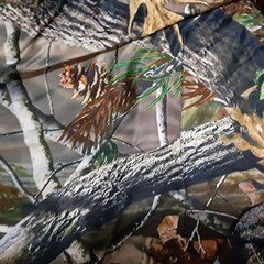 NWT Pro One Woodland Camouflage Lightweight Men’s Hoodie Size Large