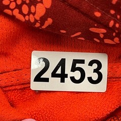Nike SB ThermaFit Skate Pullover Hoodie Teens XL19x22 Red Flight Air Max