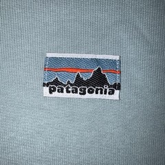 Patagonia Daily Hoody Sweatshirt Thermal Blue 22770 TMBL Men’s Size Medium NEW