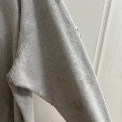 THE FRIENDS SCHOOL WILMINGTON CHAMPION REVRESE WEAVE HOODIE GRAY XL