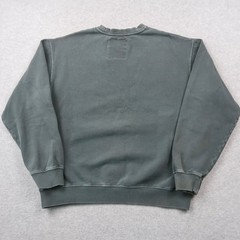Parks Project Mens Sweatshirt Large Gray Green Graphic Pullover Crewneck Faded