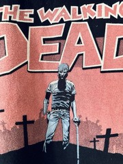 Rare The Walking Dead 2010 Promotional Hoodie
