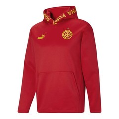 PUMA Ftblcore Fan Fleece Pullover Hoodie Mens Red Casual Outerwear 77009307